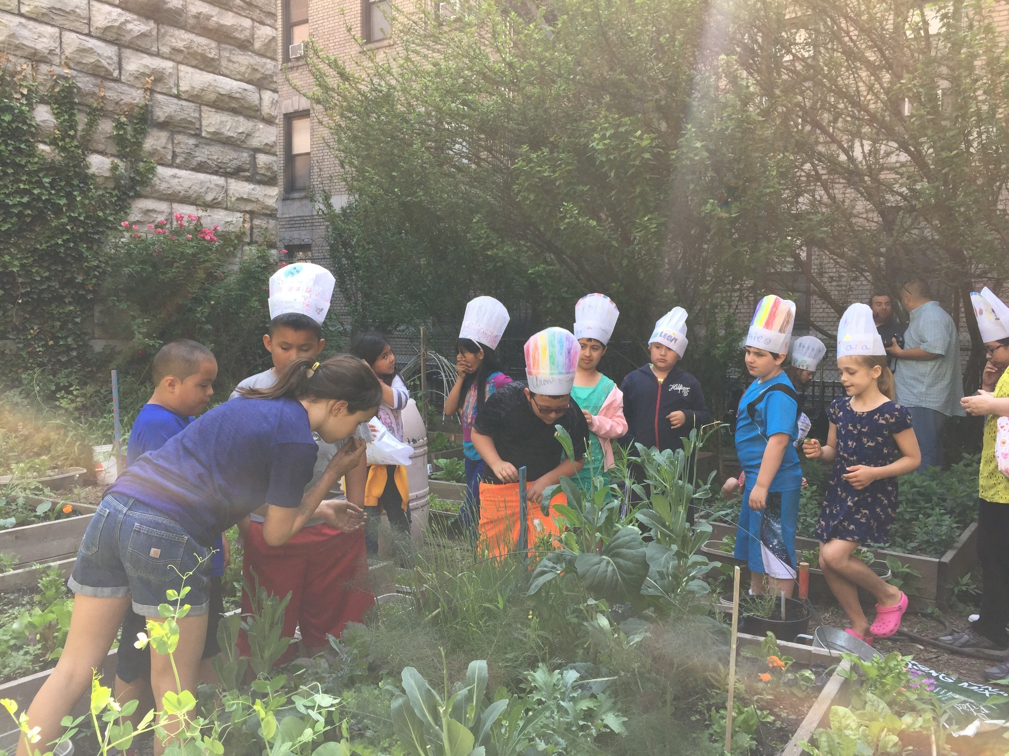 kids working with plants at a school garden